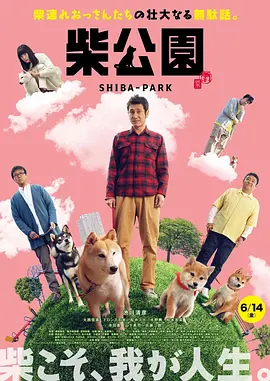 麻豆视频在线播放